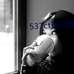537ct百合直播