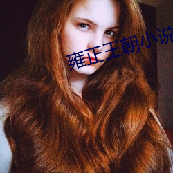 雍正王朝小(小)说