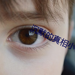 沉默的真相小说