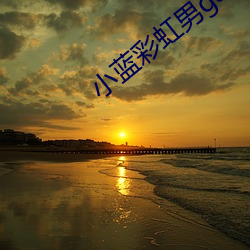 小蓝彩虹男gary2023网站