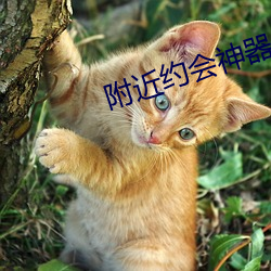 附近(近)约会神器(器)