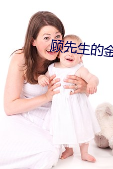 顾先生(生)的金丝雀