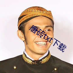 唐砖txt下载