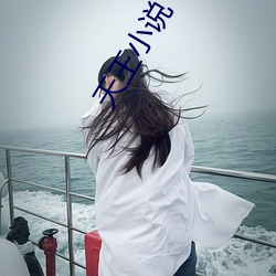 天王小说