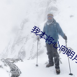 我本将心向(向)明(明)月
