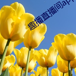 趣播直播间app