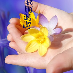 廚房愛愛
