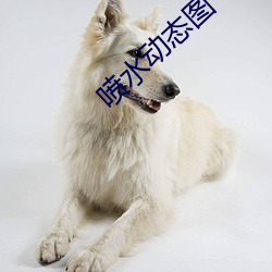 喷水动态图