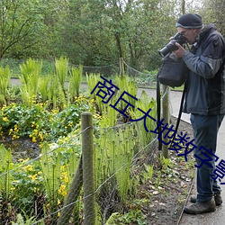 商(商)丘大(大)地数字影院(院)