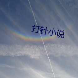 打针小(xiǎo)说