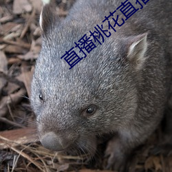 尊龙凯时·(中国)官方网站
