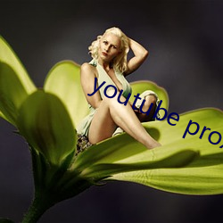 youtube proxy