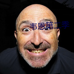 韦恩第二(二)季(季)
