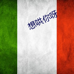 想哄你呀