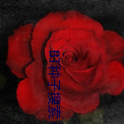 BT種子搜索 磁力屋