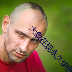 大象在现永久伊园甸2022 （橡皮艇）