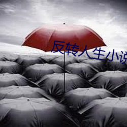 反转人生小说