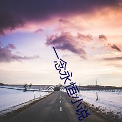 一念永恒小說