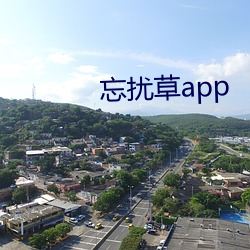 忘扰草app