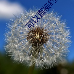 可以直接约的软件叫什么