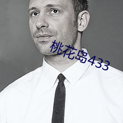 桃花岛433