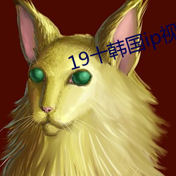 19十韓國ip視頻星空