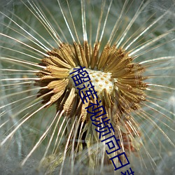 榴莲视频(pín)向(xiàng)日葵(kuí)视频(pín)绿巨人视频