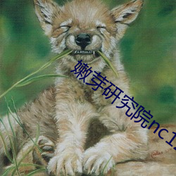 嫩芽研(研)究院nc123在线