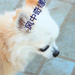 918博天堂·(中国)手机版客户端