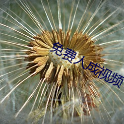 免費人成視頻