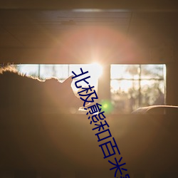 北极熊(xióng)和百米(mǐ)赛(sài)跑运动员比
