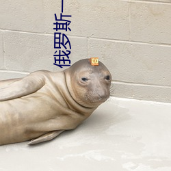 俄罗斯一级毛片免费视频