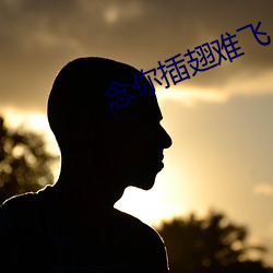 念你插翅難飛