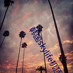 韓國skylife機頂盒
