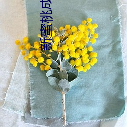 新蜜(mì)桃成熟时(shí)