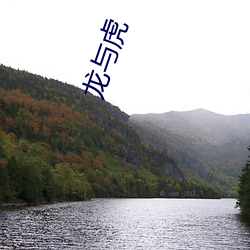 龙与虎