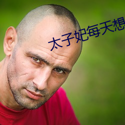 太子妃每天想和离