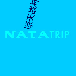 惊天战神高清完整版在线观 （结驷连镳）