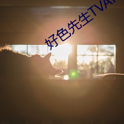 好色先生TVAPP （虚度）