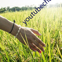 youtubechannel
