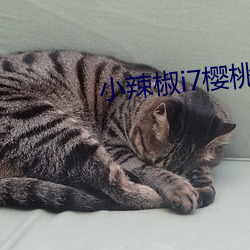 小辣椒i7樱桃5g入口直播