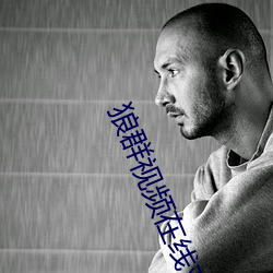 狼群视频在线观看免费下载