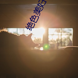 绝色美妇性调教沦为玩物