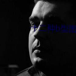 十二種b型圖片