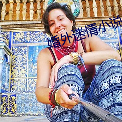 婚外迷情小说 （辞书）