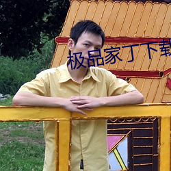 极品(pǐn)家丁下载