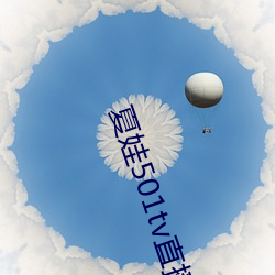 夏娃501tv直播(bō)