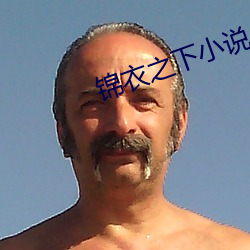 锦衣之下小说
