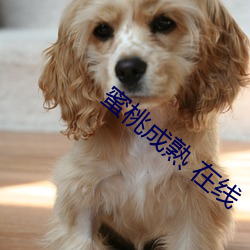蜜桃成熟 在线