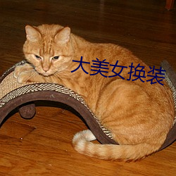 大美女换装
